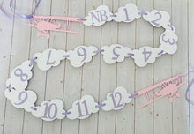 Load image into Gallery viewer, pink and purple time flies photo banner