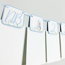 Load image into Gallery viewer, Peter Rabbit Photo Banner that includes months NB - 12. Each pennant features watercolor floral images. Alternating months also includes a Peter Rabbit Image.