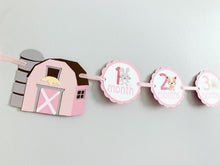 Load image into Gallery viewer, pink barnyard first birthday decorations