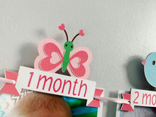 Load image into Gallery viewer, pink barnyard first birthday decorations