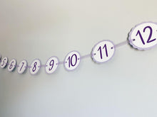 Load image into Gallery viewer, lavender first birthday decorations