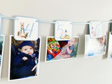 Load image into Gallery viewer, Peter Rabbit and Friends Photo Banner