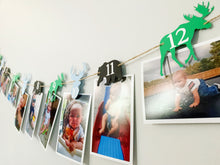 Load image into Gallery viewer, deer moose bear photo banner