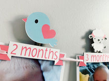 Load image into Gallery viewer, pink barnyard first birthday decorations
