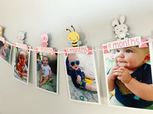 Load image into Gallery viewer, pink barnyard first birthday decorations