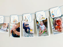 Load image into Gallery viewer, Peter Rabbit and Friends Photo Banner