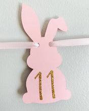 Load image into Gallery viewer, some bunny is one photo banner