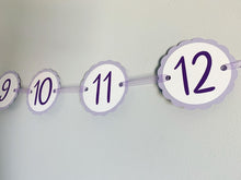 Load image into Gallery viewer, lavender first birthday decorations