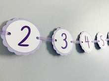 Load image into Gallery viewer, lavender first birthday decorations