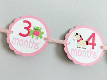 Load image into Gallery viewer, pink barnyard first birthday decorations