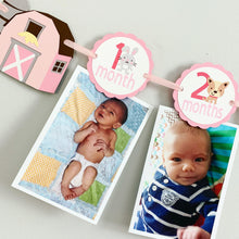Load image into Gallery viewer, pink barnyard first birthday decorations