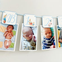 Load image into Gallery viewer, Peter Rabbit and Friends Photo Banner
