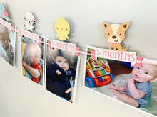 Load image into Gallery viewer, pink barnyard first birthday decorations