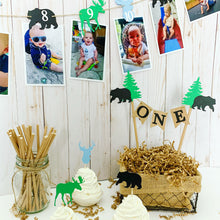 Load image into Gallery viewer, woodland rustic first birthday