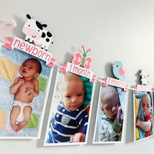 Load image into Gallery viewer, pink barnyard first birthday decorations
