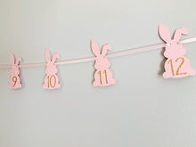 Load image into Gallery viewer, some bunny is one photo banner
