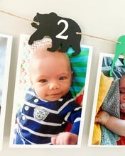 Load image into Gallery viewer, deer moose bear photo banner