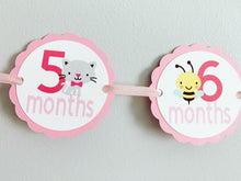 Load image into Gallery viewer, pink barnyard first birthday decorations