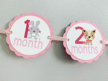 Load image into Gallery viewer, pink barnyard first birthday decorations