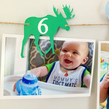 Load image into Gallery viewer, deer moose bear photo banner