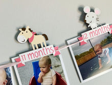Load image into Gallery viewer, pink barnyard first birthday decorations