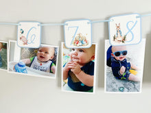 Load image into Gallery viewer, Peter Rabbit and Friends Photo Banner