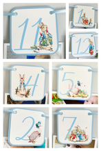 Load image into Gallery viewer, Peter Rabbit and Friends Photo Banner