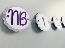 Load image into Gallery viewer, lavender first birthday decorations