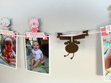 Load image into Gallery viewer, pink barnyard first birthday decorations