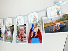Load image into Gallery viewer, Peter Rabbit and Friends Photo Banner