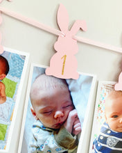 Load image into Gallery viewer, some bunny is one photo banner