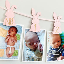 Load image into Gallery viewer, some bunny is one photo banner
