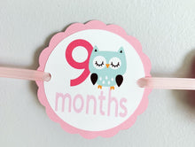 Load image into Gallery viewer, pink barnyard first birthday decorations