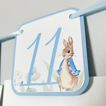 Load image into Gallery viewer, Peter Rabbit Photo Banner that includes months NB - 12. Each pennant features watercolor floral images. Alternating months also includes a Peter Rabbit Image.