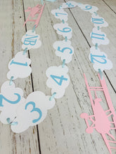 Load image into Gallery viewer, pink and grey airplane 1st birthday photo banner
