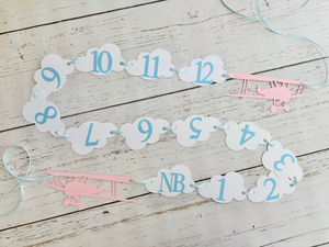 pink and grey airplane 1st birthday photo banner