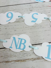 Load image into Gallery viewer, pink and grey airplane 1st birthday photo banner
