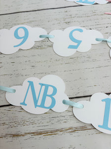 pink and grey airplane 1st birthday photo banner