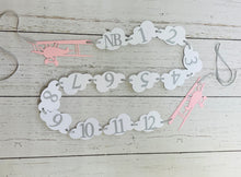 Load image into Gallery viewer, pink and grey airplane 1st birthday photo banner
