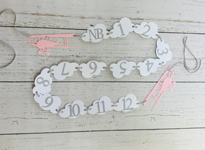 pink and grey airplane 1st birthday photo banner