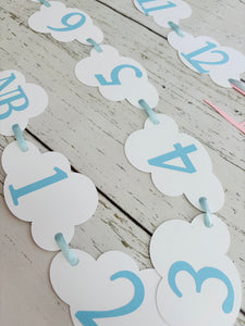 pink and grey airplane 1st birthday photo banner
