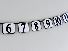Load image into Gallery viewer, If you ain't first, you're last first birthday monthly photo banner
