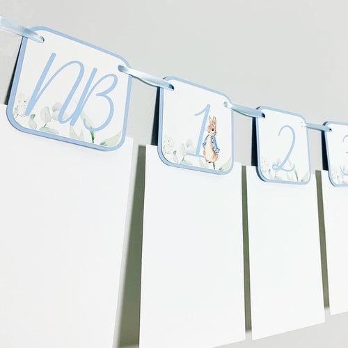 Peter Rabbit Photo Banner that includes months NB - 12. Each pennant features watercolor floral images. Alternating months also includes a Peter Rabbit Image. 