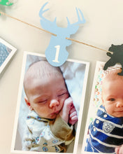 Load image into Gallery viewer, deer moose bear photo banner
