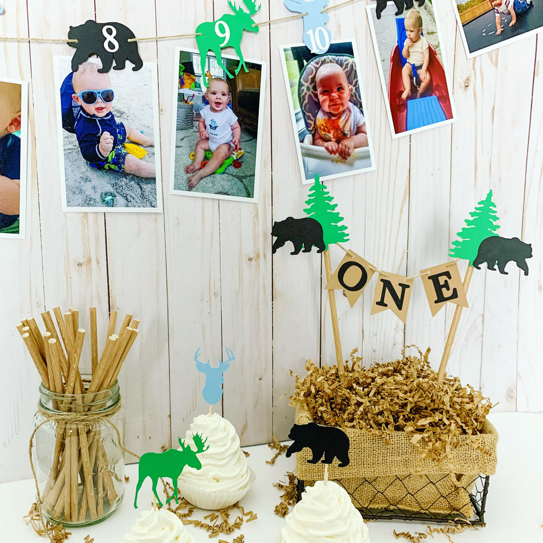 woodland rustic first birthday