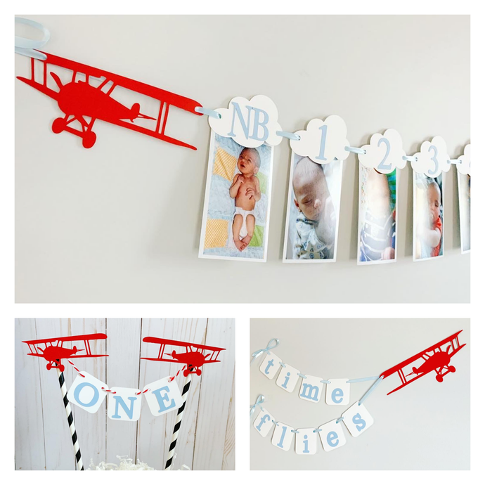 time flies first birthday decorations