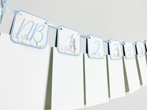 Peter Rabbit First Birthday Decorations