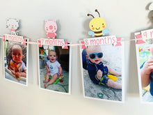 Load image into Gallery viewer, pink barnyard first birthday decorations
